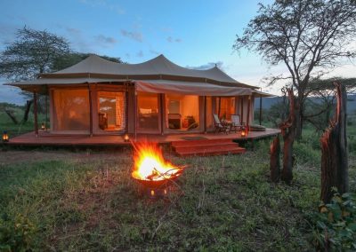 10 DAYS TANZANIA SAFARI WITH SPECIAL TENTED CAMPS EXPERIENCE