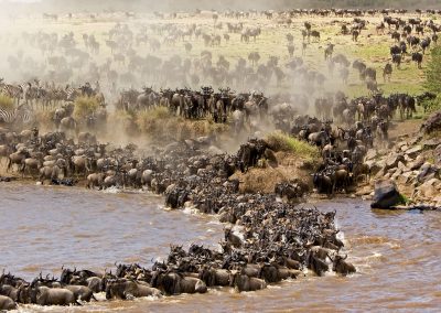 11 DAY SERENGETI WILDEBEEST MIGRATION SAFARI