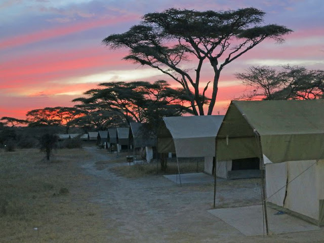 Masai village