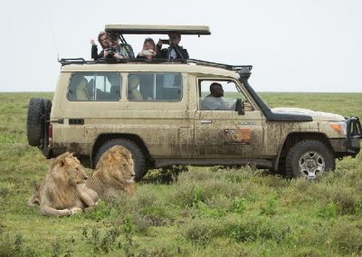 7 DAY  BUDGET TANZANIA SAFARI TOUR