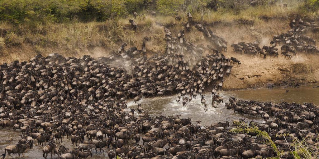 https://www.praygodafricasafaris.com/project/wildebeest-migration-serengeti/