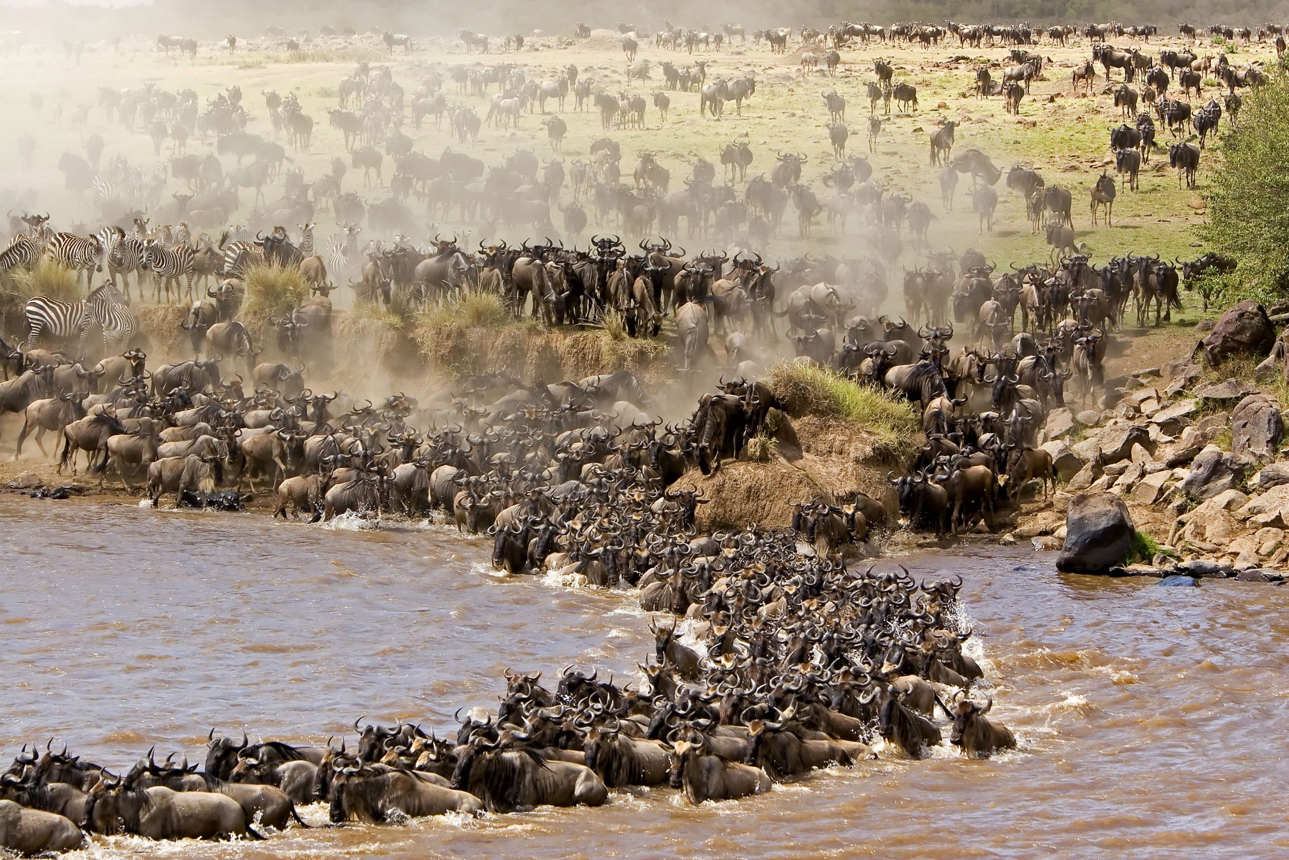 https://www.praygodafricasafaris.com/5-days-wildebeest-migration-serengeti/