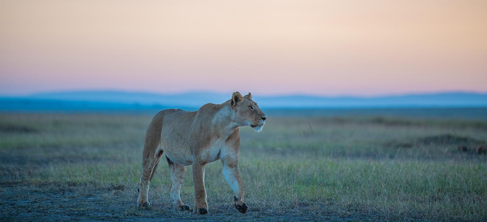 10 DAY TANZANIA FAMILY SAFARIS LUXURY LODGE