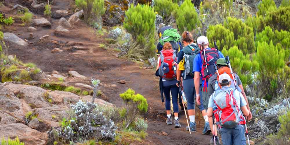 https://www.praygodafricasafaris.com/project/7-days-rongai-route-kilimanjaro-climbing/