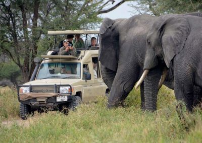 6 DAY CAMPING SAFARI