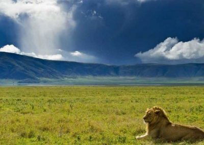 4 DAY BUDGET SAFARI