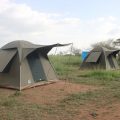 https://www.praygodafricasafaris.com/project/6-days-tanzania-camping-safari/