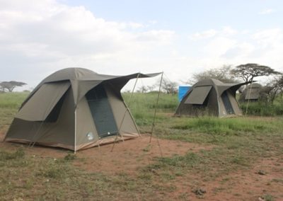6 DAYS TANZANIA CAMPING SAFARI