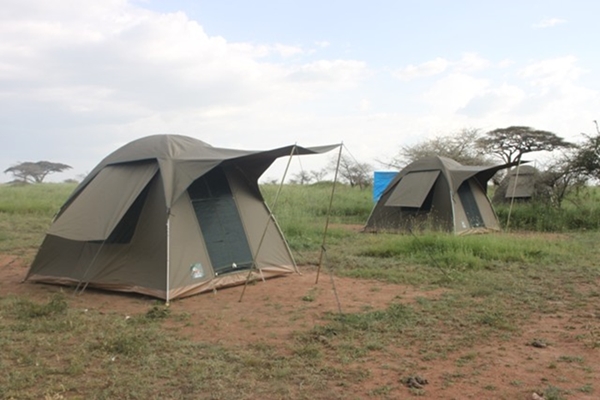 https://www.praygodafricasafaris.com/project/6-days-tanzania-camping-safari/