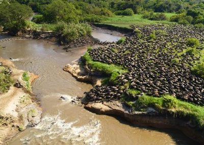 5 DAYS SERENGETI WILDEBEEST MIGRATION