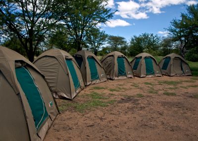6 DAYS CAMPING SAFARI SERENGETI