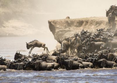 8-Day Kenya and Tanzania Wildebeest Migration Safari – Masai Mara & Serengeti Adventure