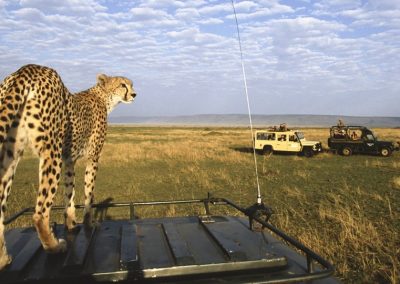 7 DAYS KENYA AND TANZANIA SAFARI