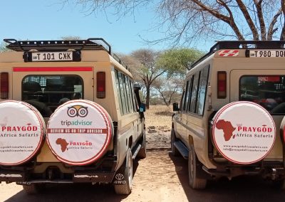 8 DAYS TANZANIA WILDLIFE SAFARI